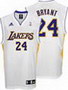 Los Angeles Lakers Alternate Jersey