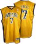 Indiana Pacers Alternate Jersey